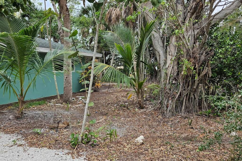 Blue Crab Dock On Gulf Canal Front Close 2 Beach Restaurants Bonita Springs Exterior foto